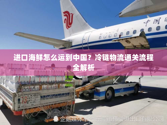 进口海鲜怎么运到中国？冷链物流通关流程全解析