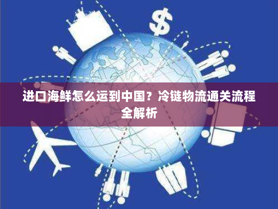 进口海鲜怎么运到中国?冷链物流通关流程全解析 进口海鲜怎么运到中国?冷链物流通关流程全解析