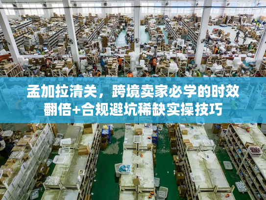 孟加拉清关，跨境卖家必学的时效翻倍+合规避坑稀缺实操技巧