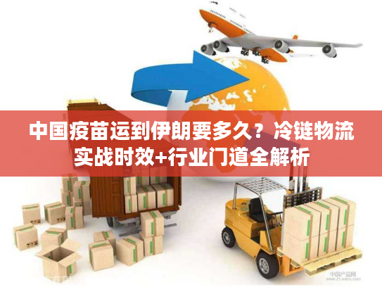 中国疫苗运到伊朗要多久？冷链物流实战时效+行业门道全解析