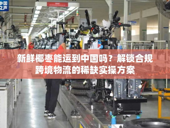 新鲜椰枣能运到中国吗？解锁合规跨境物流的稀缺实操方案