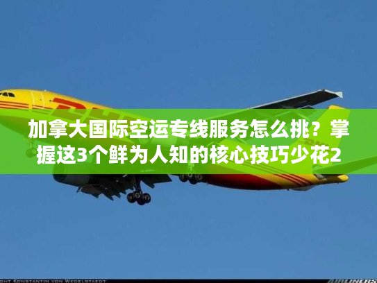 加拿大国际空运专线服务怎么挑？掌握这3个鲜为人知的核心技巧少花20%成本