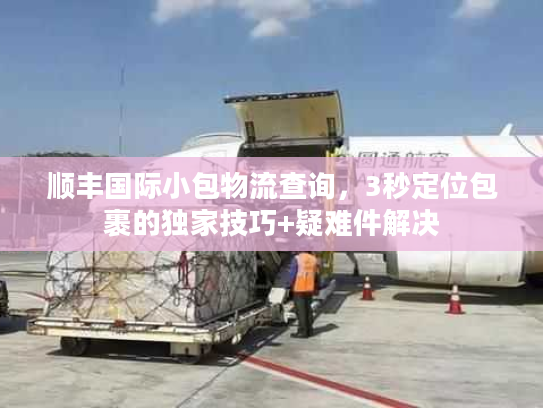 顺丰国际小包物流查询，3秒定位包裹的独家技巧+疑难件解决