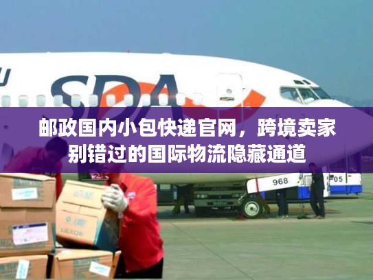 邮政国内小包快递官网，跨境卖家别错过的国际物流隐藏通道