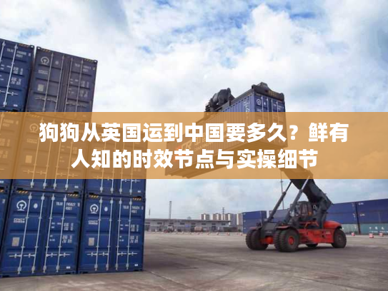 狗狗从英国运到中国要多久？鲜有人知的时效节点与实操细节