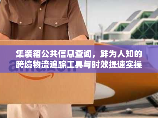 集装箱公共信息查询，鲜为人知的跨境物流追踪工具与时效提速实操