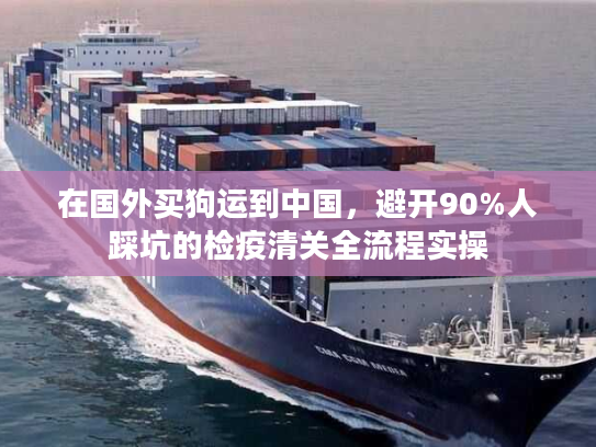 在国外买狗运到中国，避开90%人踩坑的检疫清关全流程实操