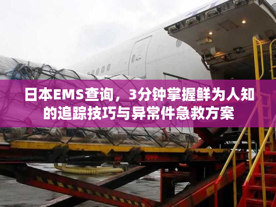 日本EMS查询,3分钟掌握鲜为人知的追踪技巧与异常件急救方案 日本EMS查询,3分钟掌握鲜为人知的追踪技巧与异常件急救方案