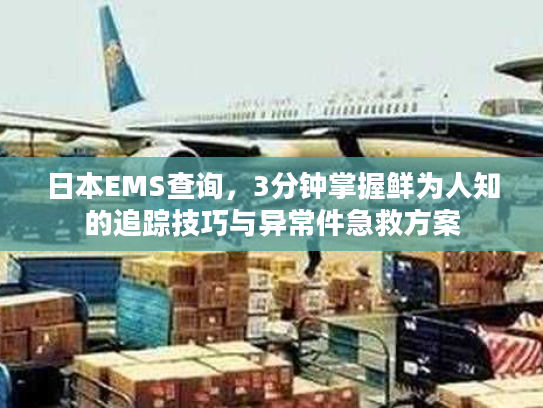 日本EMS查询,3分钟掌握鲜为人知的追踪技巧与异常件急救方案 日本EMS查询,3分钟掌握鲜为人知的追踪技巧与异常件急救方案