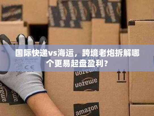 国际快递vs海运，跨境老炮拆解哪个更易起盘盈利？
