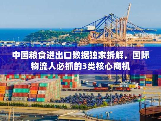 中国粮食进出口数据独家拆解，国际物流人必抓的3类核心商机