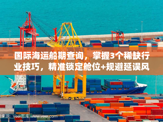 国际海运船期查询，掌握3个稀缺行业技巧，精准锁定舱位+规避延误风险