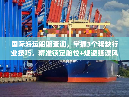 国际海运船期查询，掌握3个稀缺行业技巧，精准锁定舱位+规避延误风险