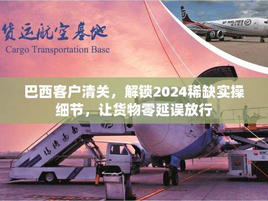 巴西客户清关,解锁2024稀缺实操细节,让货物零延误放行 巴西客户清关,解锁2024稀缺实操细节,让货物零延误放行