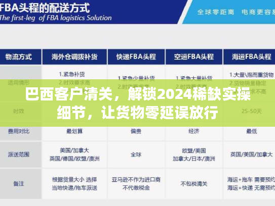 巴西客户清关,解锁2024稀缺实操细节,让货物零延误放行 巴西客户清关,解锁2024稀缺实操细节,让货物零延误放行