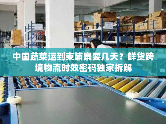 中国蔬菜运到柬埔寨要几天？鲜货跨境物流时效密码独家拆解