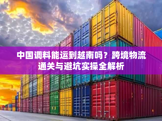中国调料能运到越南吗？跨境物流通关与避坑实操全解析