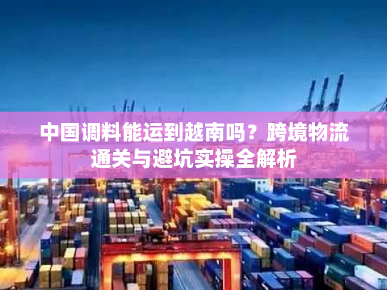 中国调料能运到越南吗？跨境物流通关与避坑实操全解析