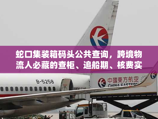 蛇口集装箱码头公共查询，跨境物流人必藏的查柜、追船期、核费实操技巧