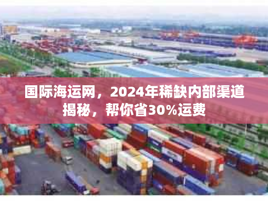国际海运网，2024年稀缺内部渠道揭秘，帮你省30%运费