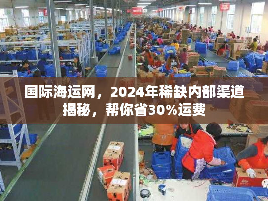国际海运网，2024年稀缺内部渠道揭秘，帮你省30%运费