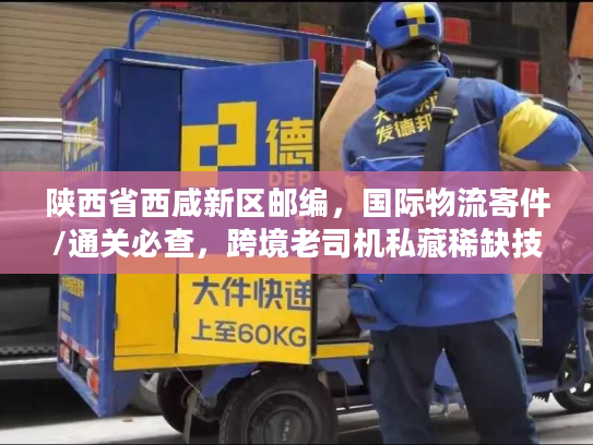 陕西省西咸新区邮编，国际物流寄件/通关必查，跨境老司机私藏稀缺技巧