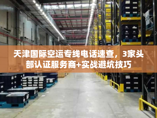 天津国际空运专线电话速查，3家头部认证服务商+实战避坑技巧