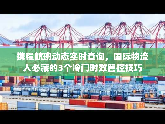 携程航班动态实时查询，国际物流人必藏的3个冷门时效管控技巧