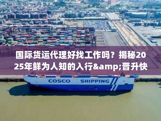 国际货运代理好找工作吗？揭秘2025年鲜为人知的入行&晋升快车道