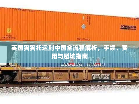 英国狗狗托运到中国全流程解析,手续、费用与避坑指南 英国狗狗托运到中国全流程解析,手续、费用与避坑指南