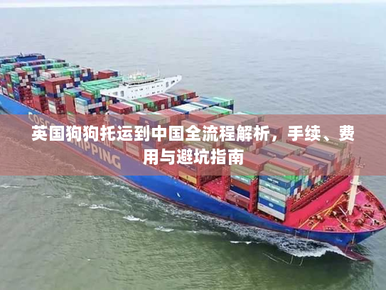 英国狗狗托运到中国全流程解析,手续、费用与避坑指南 英国狗狗托运到中国全流程解析,手续、费用与避坑指南