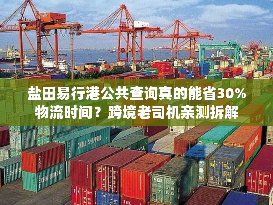 盐田易行港公共查询真的能省30%物流时间？跨境老司机亲测拆解