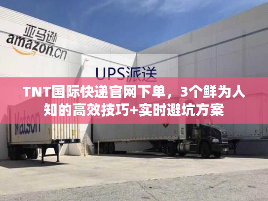 TNT国际快递官网下单，3个鲜为人知的高效技巧+实时避坑方案