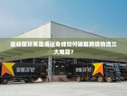 鼎畅国际美国海运专线如何破解跨境物流三大难题？