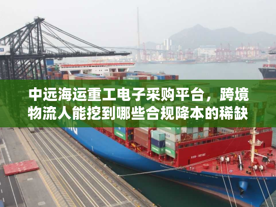 中远海运重工电子采购平台，跨境物流人能挖到哪些合规降本的稀缺机会？