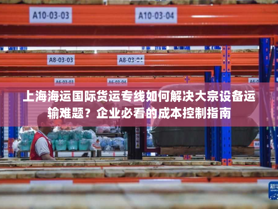 上海海运国际货运专线如何解决大宗设备运输难题？企业必看的成本控制指南