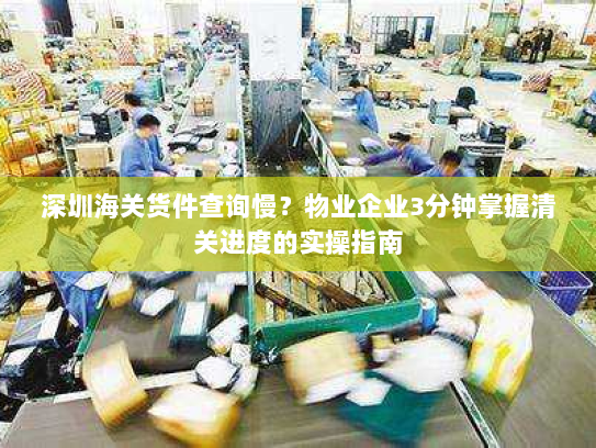 深圳海关货件查询慢?物业企业3分钟掌握清关进度的实操指南 深圳海关货件查询慢?物业企业3分钟掌握清关进度的实操指南