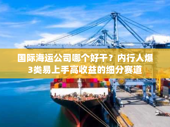 国际海运公司哪个好干?内行人爆3类易上手高收益的细分赛道 国际海运公司哪个好干?内行人爆3类易上手高收益的细分赛道