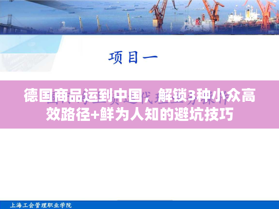 德国商品运到中国，解锁3种小众高效路径+鲜为人知的避坑技巧