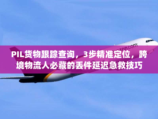 PIL货物跟踪查询，3步精准定位，跨境物流人必藏的丢件延迟急救技巧