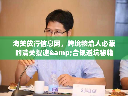 海关放行信息网,跨境物流人必藏的清关提速&合规避坑秘籍 海关放行信息网,跨境物流人必藏的清关提速&合规避坑秘籍
