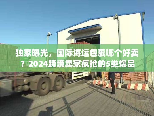 独家曝光，国际海运包裹哪个好卖？2024跨境卖家疯抢的5类爆品