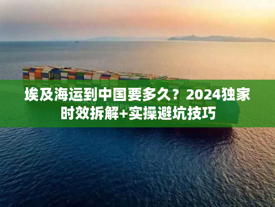 埃及海运到中国要多久？2024独家时效拆解+实操避坑技巧