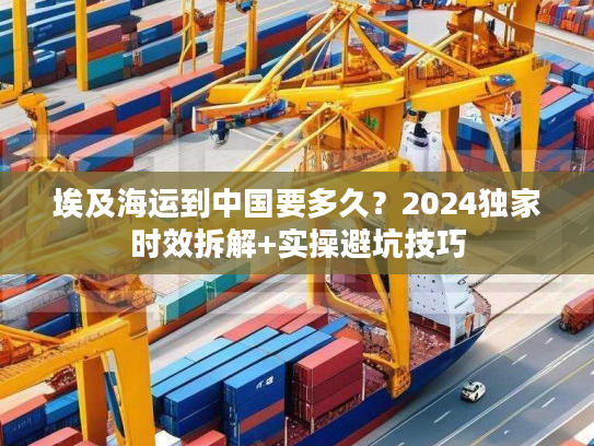 埃及海运到中国要多久？2024独家时效拆解+实操避坑技巧