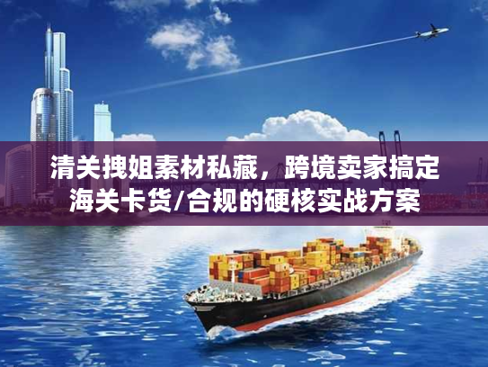 清关拽姐素材私藏，跨境卖家搞定海关卡货/合规的硬核实战方案