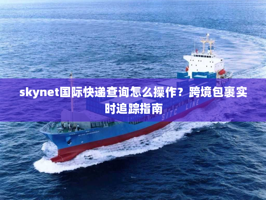 skynet国际快递查询怎么操作?跨境包裹实时追踪指南 skynet国际快递查询怎么操作?跨境包裹实时追踪指南