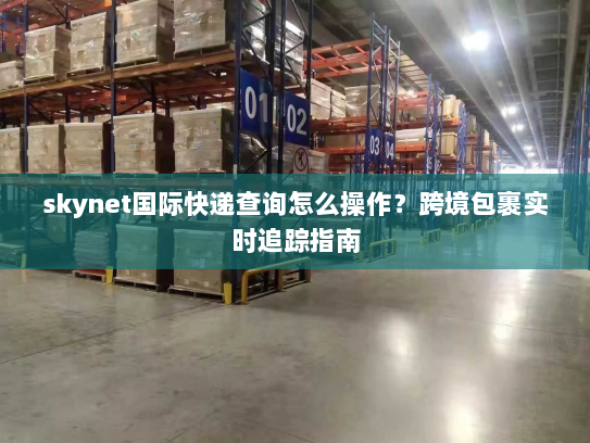 skynet国际快递查询怎么操作?跨境包裹实时追踪指南 skynet国际快递查询怎么操作?跨境包裹实时追踪指南