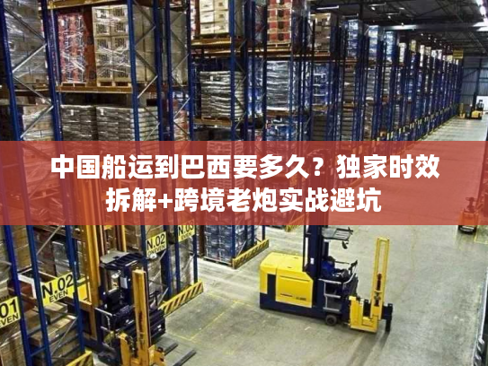 中国船运到巴西要多久？独家时效拆解+跨境老炮实战避坑