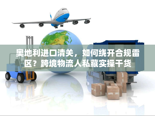 奥地利进口清关，如何绕开合规雷区？跨境物流人私藏实操干货