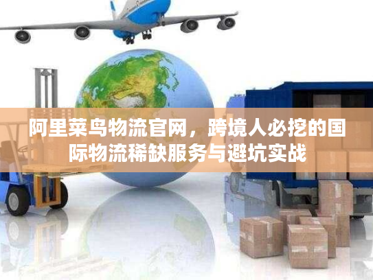 阿里菜鸟物流官网,跨境人必挖的国际物流稀缺服务与避坑实战 阿里菜鸟物流官网,跨境人必挖的国际物流稀缺服务与避坑实战